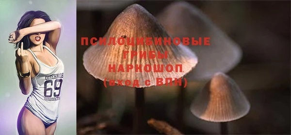 таблы Алзамай