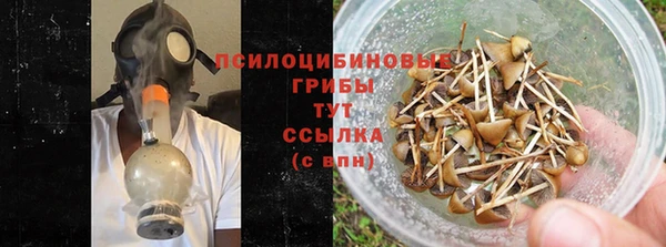 таблы Алзамай
