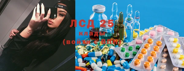 PSILOCYBIN Алексеевка
