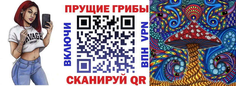 Псилоцибиновые грибы мицелий  купить закладку  Ейск 